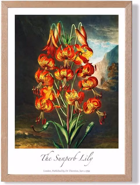 ARTZE Vintage Floral Lily Flower Framed Print, Multicolour Botanical Paper Poster with Oak Frame, W: 21.0 cm, H: 29.7 cm – 1