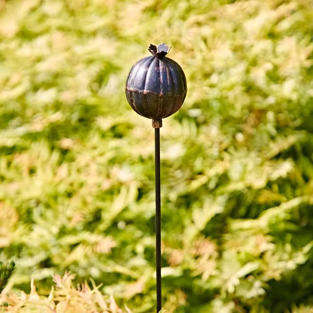 Paper High Black Metal Poppy Seed Head Garden Stake Decoration