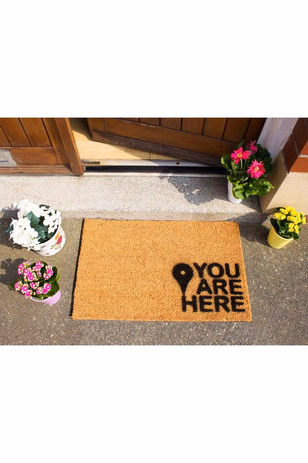 Artsy Mats You Are Here Coir Doormat in Brown, W/D/H: 60 x 40 cm – 2