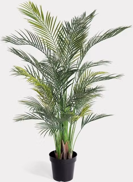 Blooming Artificial Green Areca Palm Outdoor Artificial Tree, Height: 137.16 cm