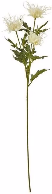 Lemon Pavilion Sea Holly Floral Spray in Beige and White, Height: 67 cm – 1