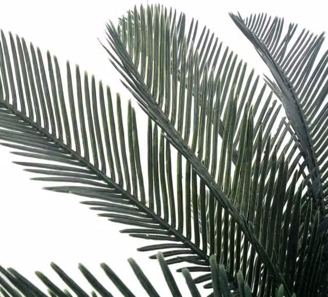 Berkfield Home Artificial Cycas Palm Plant with Pot, Green, Height: 125 cm