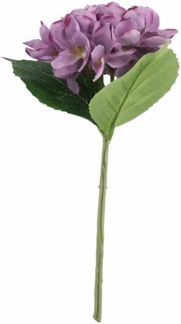 KDMD Purple Arundel Hydrangea, 3 Pack, Height: 34 cm – 1