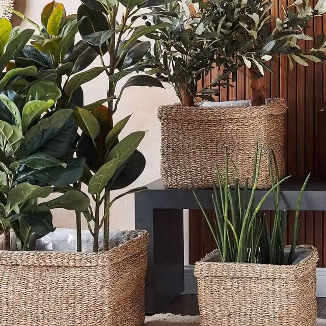Wyld and Coco Natural Seagrass Planter Set of 3 in Brown