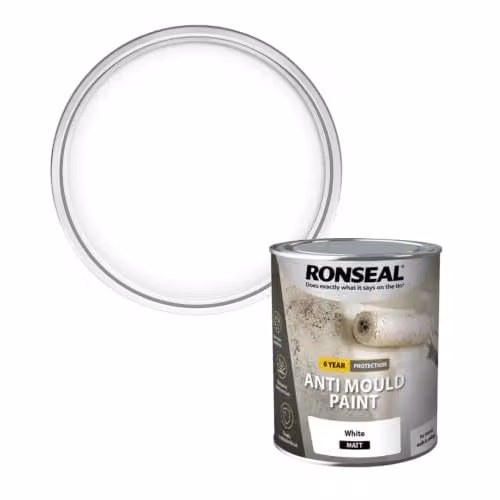 Ronseal Mould Resistant Anti Mould Paint White Matt 750ml