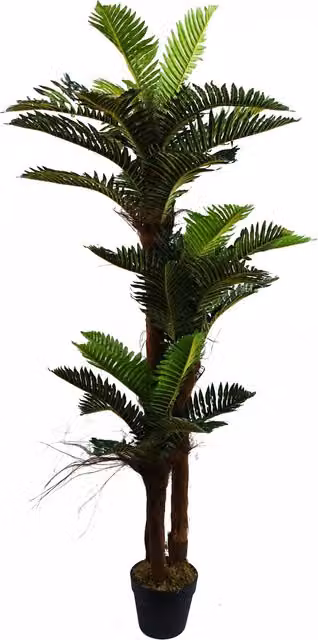 Artificial Large Green Palm Tree with Natural Trunk and Plastic Leaves