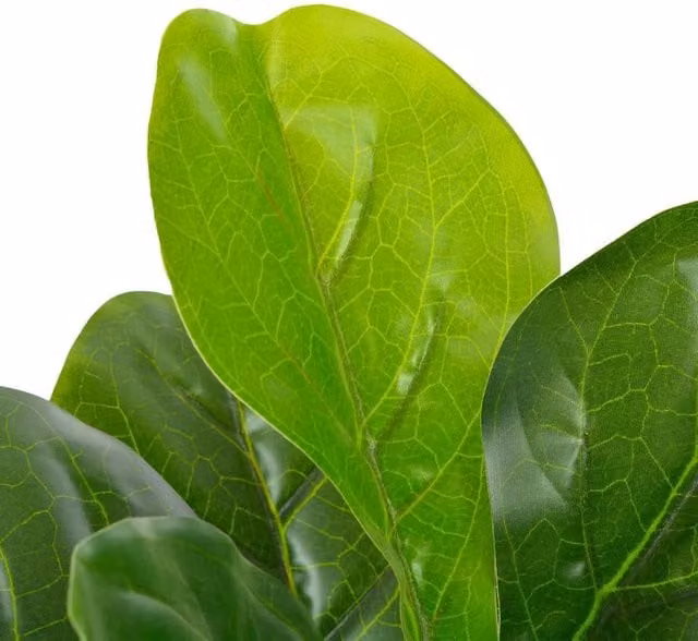 Berkfield Home Artificial Fiddle Leaf Plant with Pot, Green, Height: 90 cm