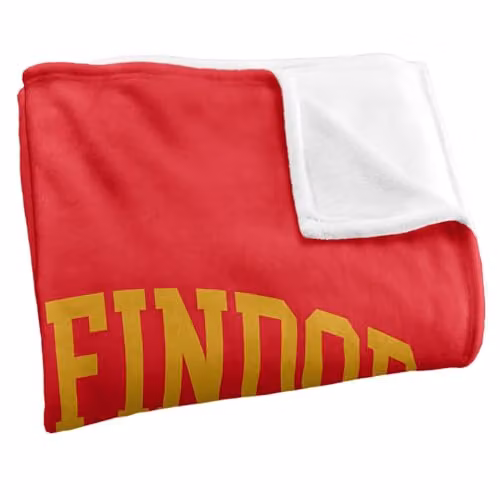 Warner Bros. Harry Potter Gryffindor Quidditch Arch Super Soft Silky Touch Fleece Throw Blanket, Red/Multicolour, W: 91.44 cm, L: 147 cm – 2