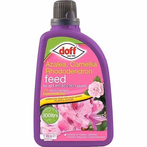 Doff Ericaceous Plant Tonic Liquid, 1 l