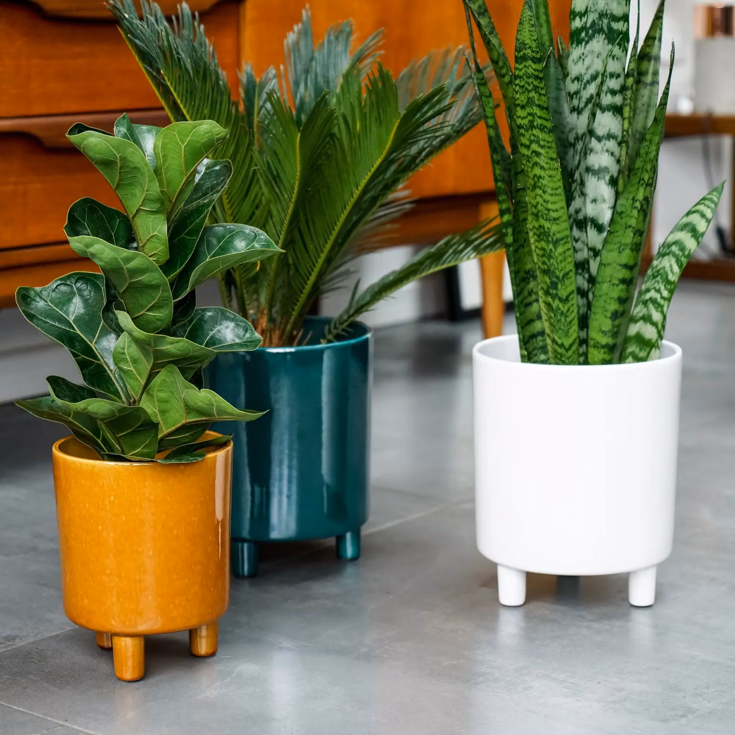 Ivyline Pisa White Ceramic Tabletop Planter, H: 24 cm, D: 20 cm – 3