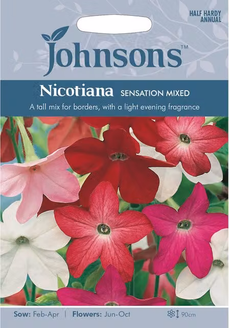 Johnsons Sensation Mixed Nicotiana Multicolour Ornamental Flower Seeds