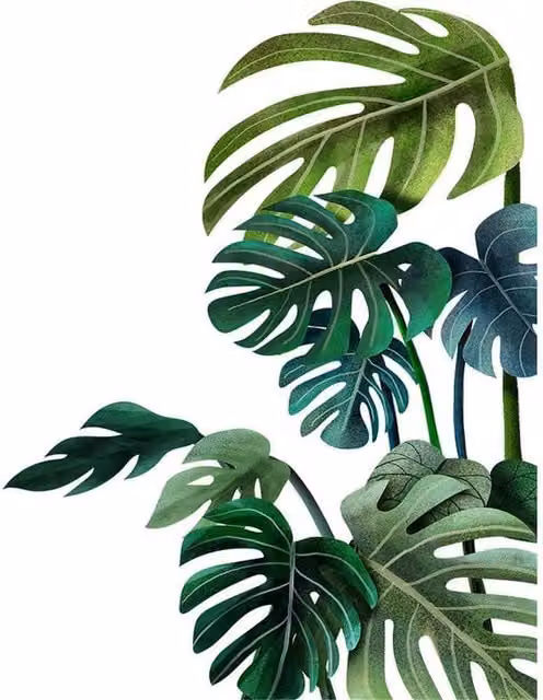 PAWNORA Tropical Leaf Print Adhesive Wall Sticker in Green, W: 30 cm, H: 90 cm – 1
