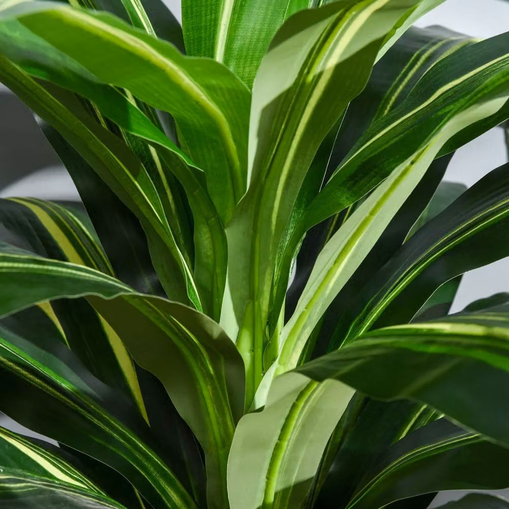 Wyld Haus Pala Artificial Dracaena Plant in Green Decorative Pot, Height: 110 cm – 7