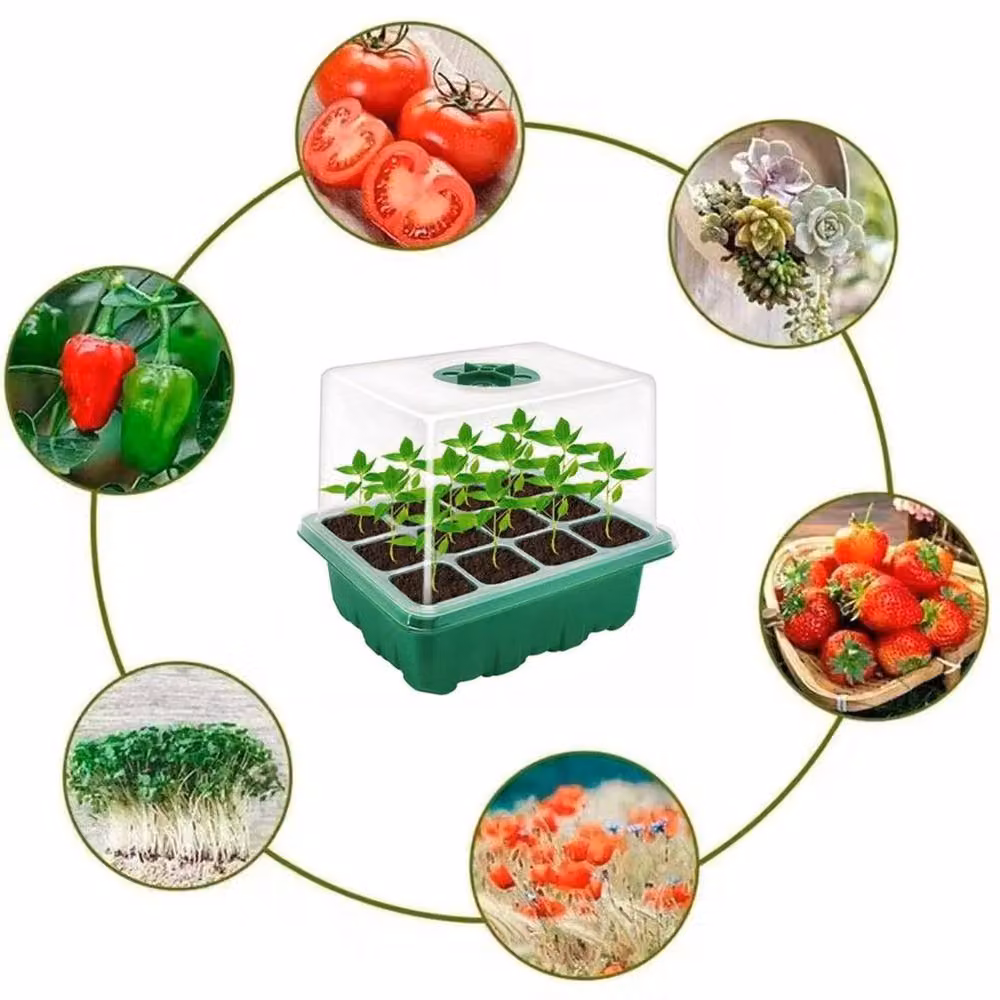 NESTLUNE Green 10 Pack Plant Seed Trays Germination Kit Growing Aid – 2