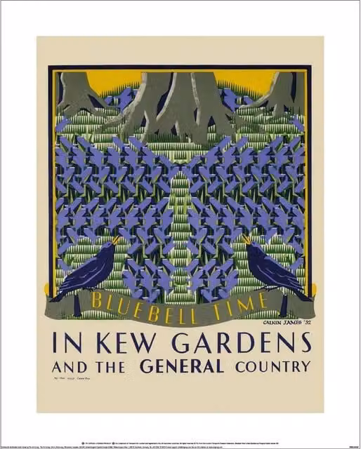 Transport for London Bluebell Time in Kew Gardens Multicolour Paper Print Poster – 1