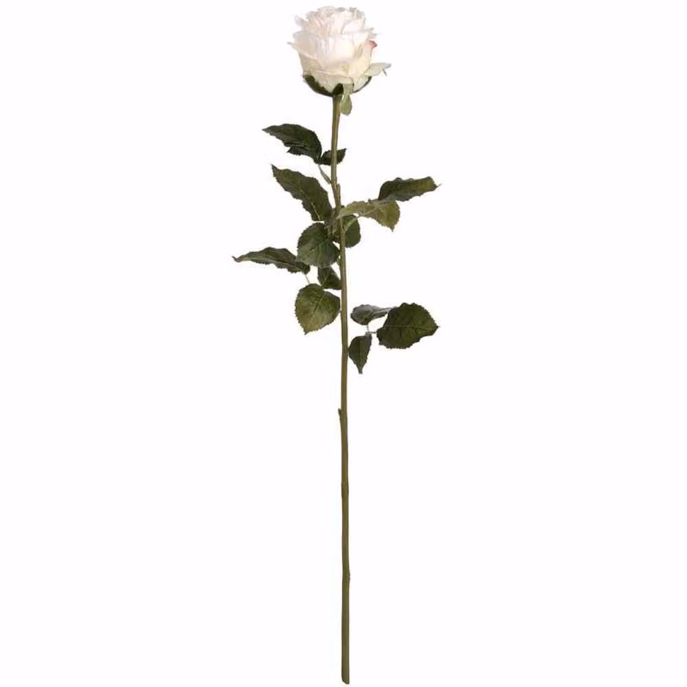 Lemon Pavilion Traditional White Artificial Rose Flower, W: 9 cm, D: 9 cm, H: 71 cm – 4