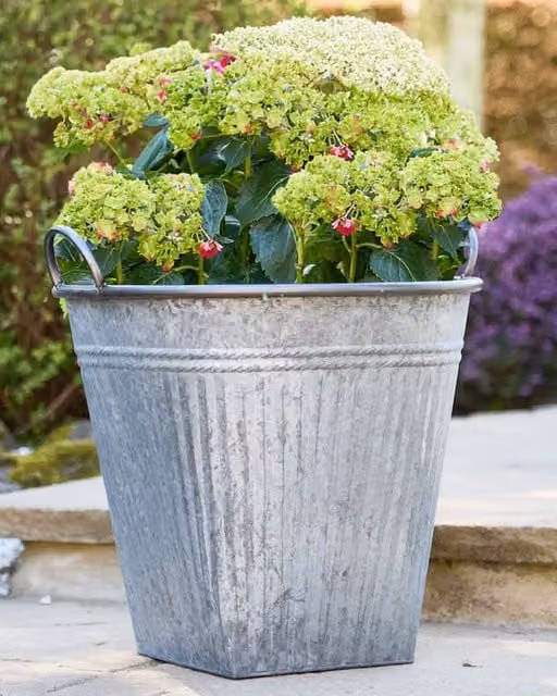 Dibor Grey Vintage Effect Metal Garden Planter with Handle, Dia: 51 cm, H: 46 cm – 1