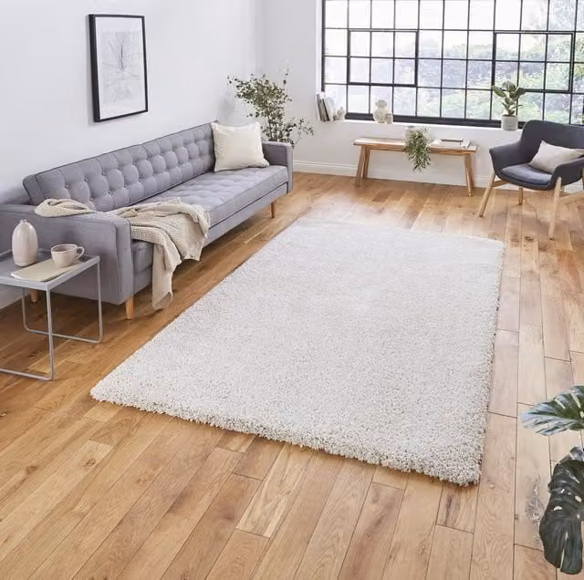 Terrys Modern Plain Rectangular Shaggy Rug in Beige and White, Stain Resistant Polypropylene