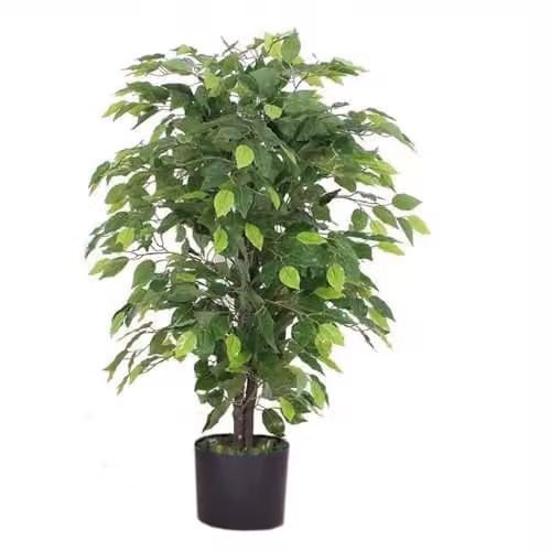 Leaf 90cm Artificial Ficus Tree in Green with Black Plastic Pot
