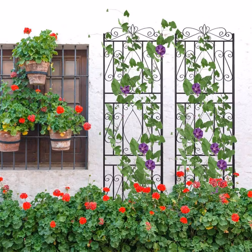 FLAVORA 2 Pack Metal Plant Trellis Support in Black, H 182 cm x W 50 cm – 3