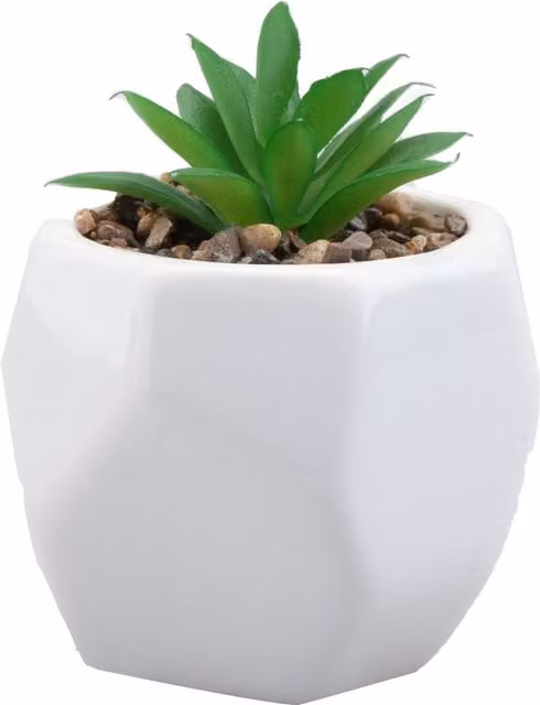 VFM e-Store Small Artificial Succulent Potted Plant in White Plastic, Height: 12.1 cm