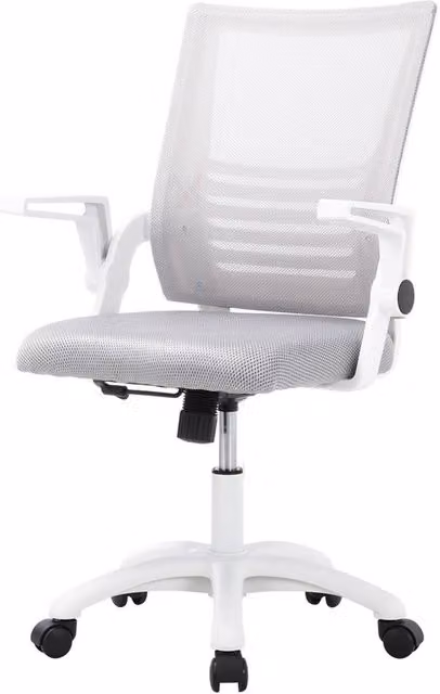 Garden Sanctuary Ergonomic Mesh Swivel Office Chair in White