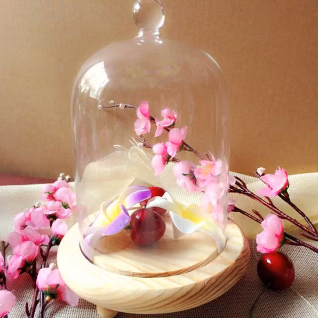 Livingandhome Round Glass Dome Cover with White Wood Base, Diameter: 18 cm