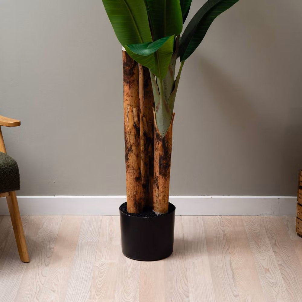 Scottish Everlastings Ltd 260 cm Real Touch Banana Tree in Green – 3