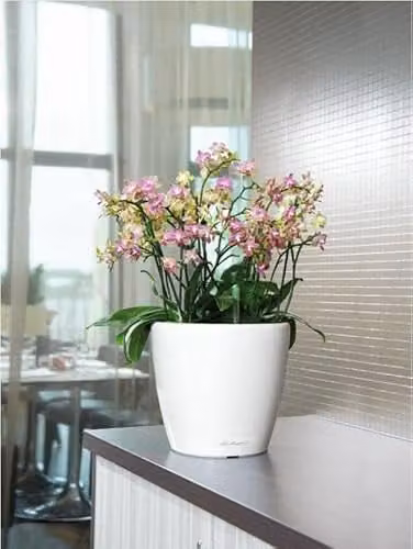 Lechuza Classico 35 LS Self Watering Plant Pot in White High-Gloss, D35 x H33 cm – 3