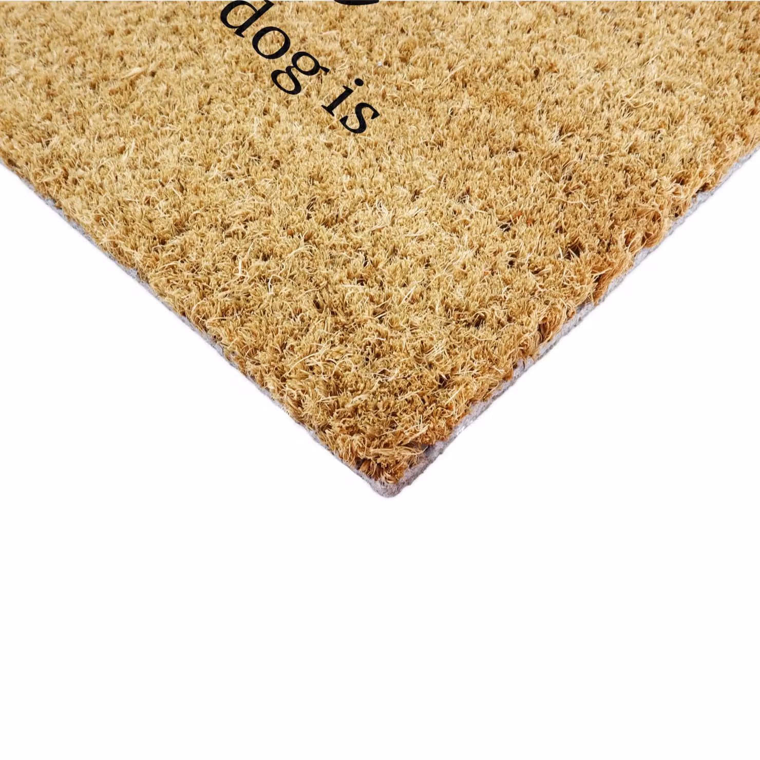 Artsy Mats Home Is Where My Dog Is Coir Doormat, Brown, W: 90 cm, D: 60 cm – 5