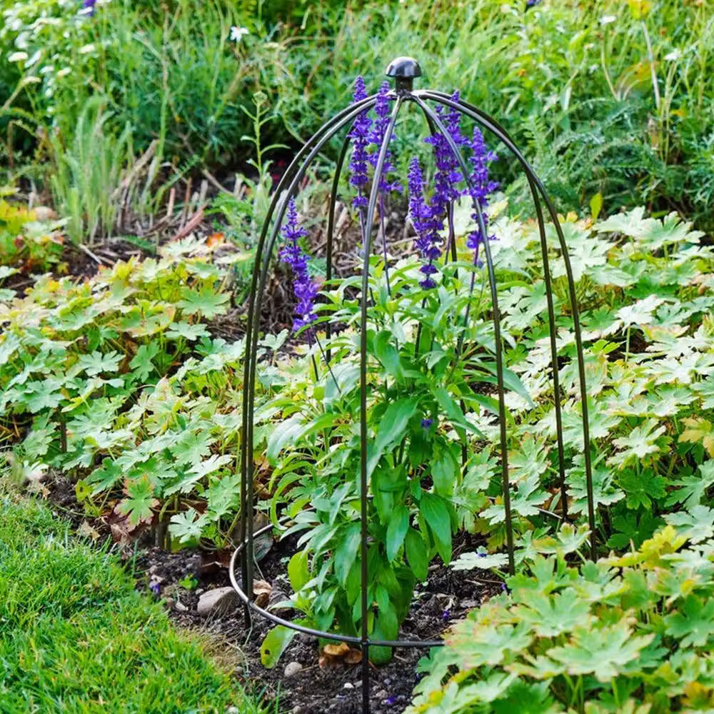 Lemon Pavilion Dark Grey Mild Steel Outdoor Plant Support Obelisk W36 x D36 x H60 cm – 2