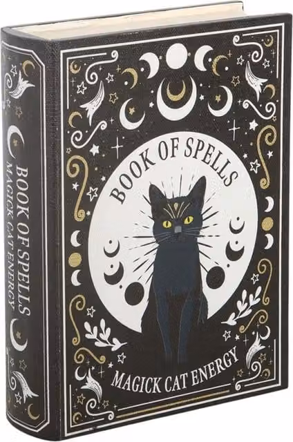 Something Different Wholesale Black Cat Magick Book of Spells Shaped Storage Box with Lid – 5