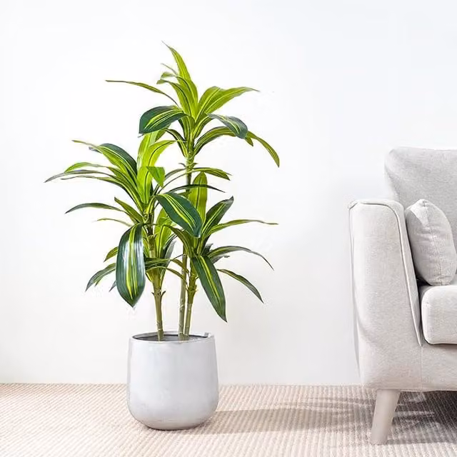 Mcc Direct Artificial Agave Succulent Plant, Green, Height: 100 cm