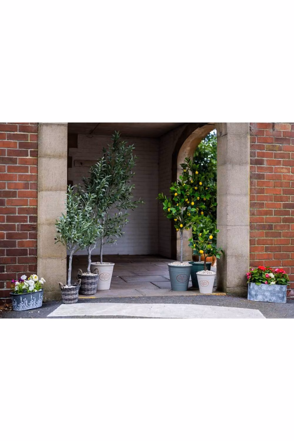 KDMD Artificial Green Olive Tree – 3