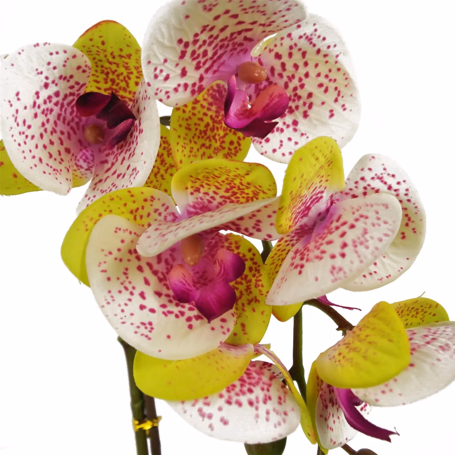 Leaf Design UK Realistic Artificial Harlequin Pink Orchid in a Silver Pot, Height: 46 cm – 2