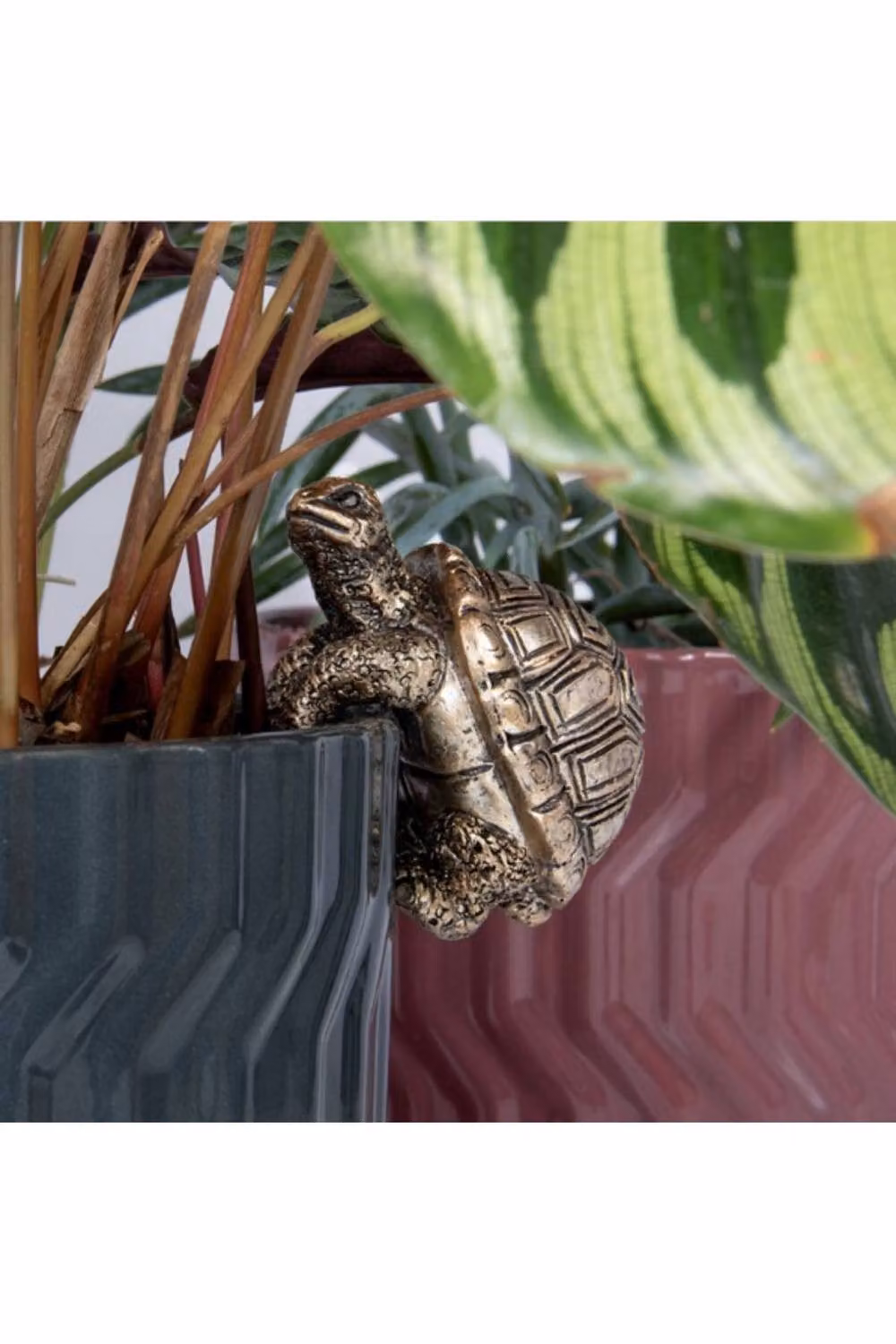 KDMD Plant Pot Pals Tortoise 2 Pack in Bronze – 2