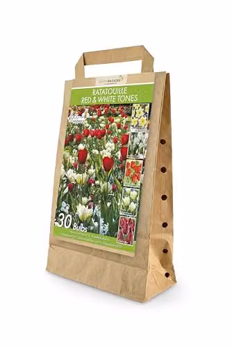 GreenBrokers Ratatouille Spring Flower Bulbs, 30 Count, Red and White Tones