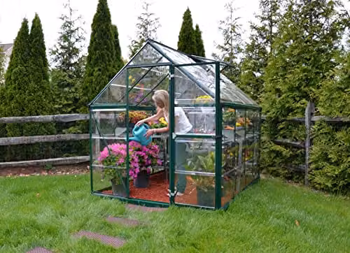 Palram Canopia Harmony 6x8 Green Greenhouse with Clear Polycarbonate Panels and Aluminium Frame – 2