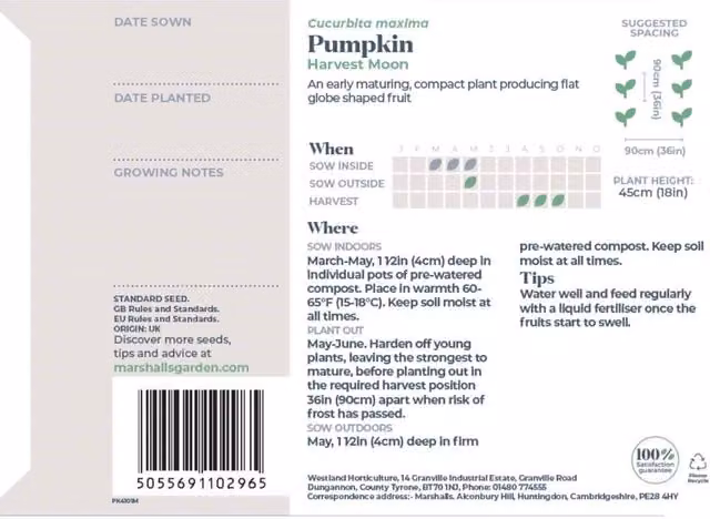 Marshalls Garden Harvest Moon Pumpkin Seeds, Orange, 8g