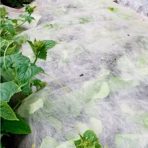 YouGarden Frost Protection Fleece Roll, White, W/H: 1 x 15 m – 3