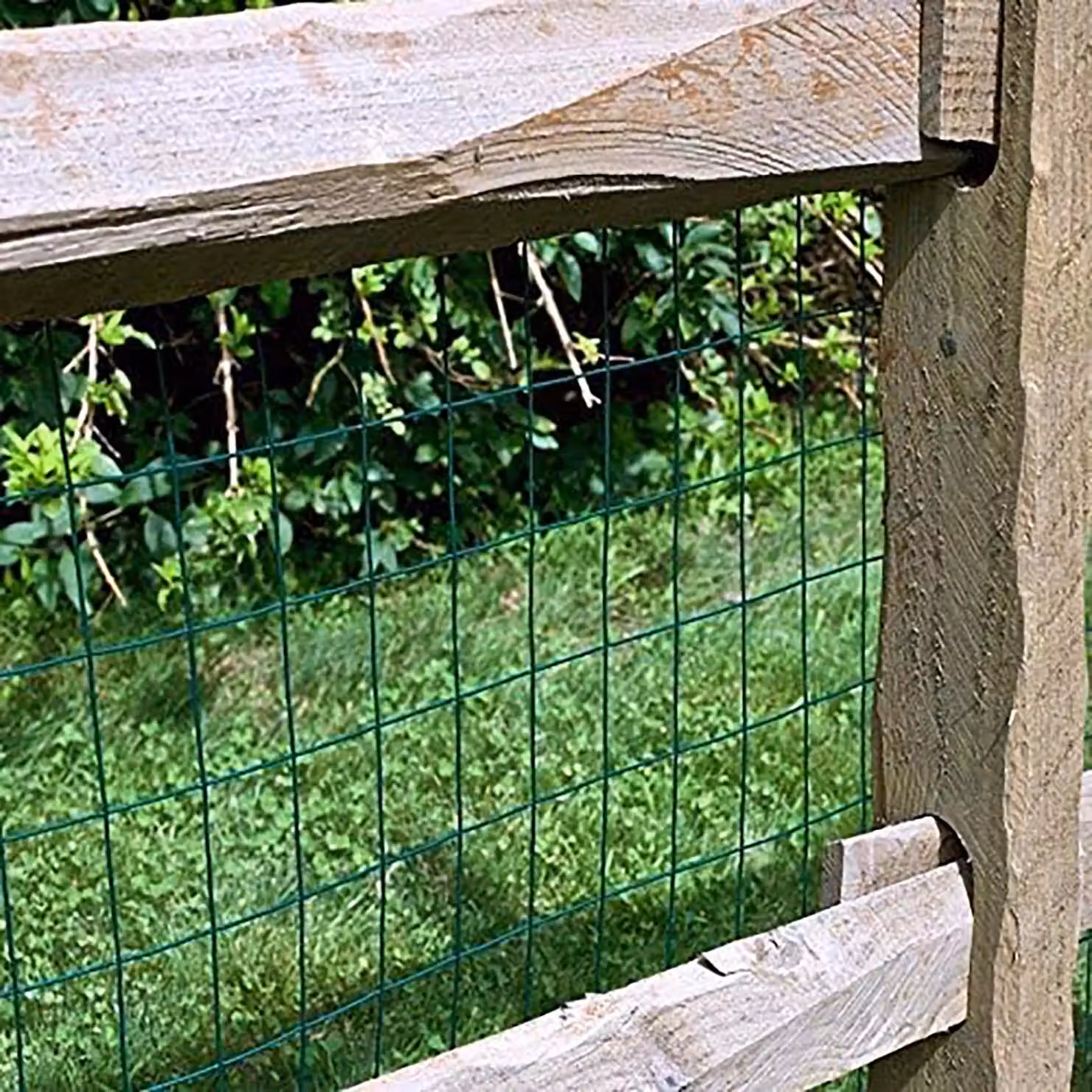 Simpa Green PVC Coated Steel Wire Mesh Euro Fence Roll H 1 m x L 10 m – 4