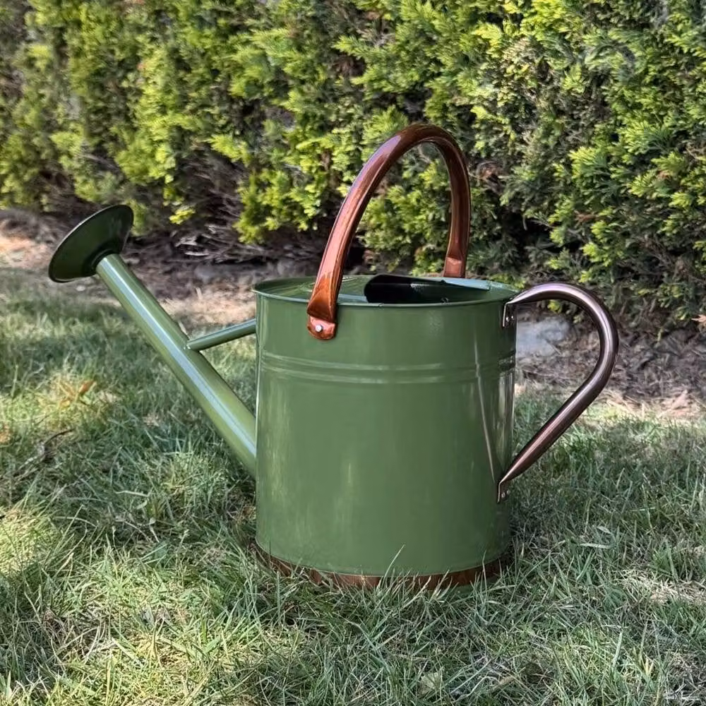 SPETLEK Metal Rose Watering Can in Heritage Tweed Green