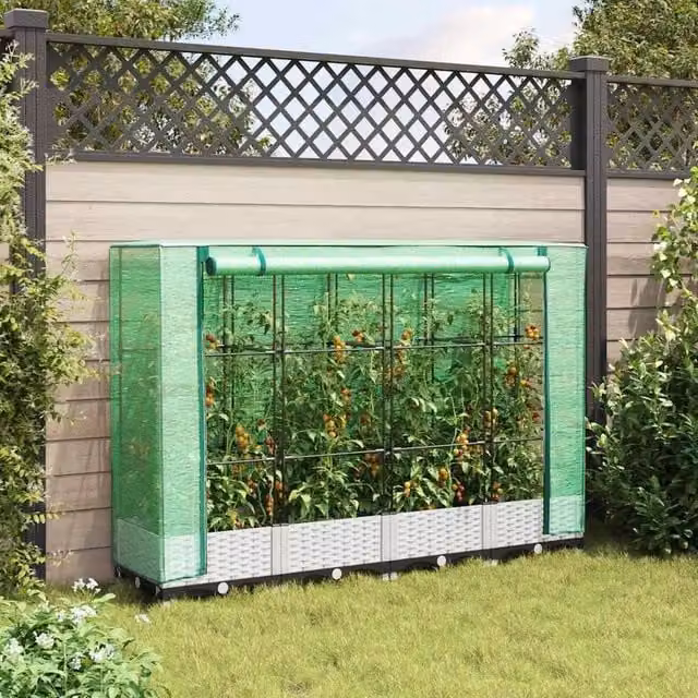 Berkfield Home Raised Bed with Greenhouse Cover in White Rattan Look, W/D/H: 160 x 40 x 123 cm – 1