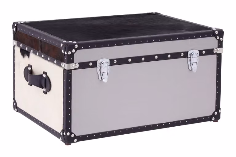 Orsina Black and White Genuine Cowhide Storage Trunk with Stainless Steel Details, W/D/H: 61.0 x 46.0 x 32.0 cm
