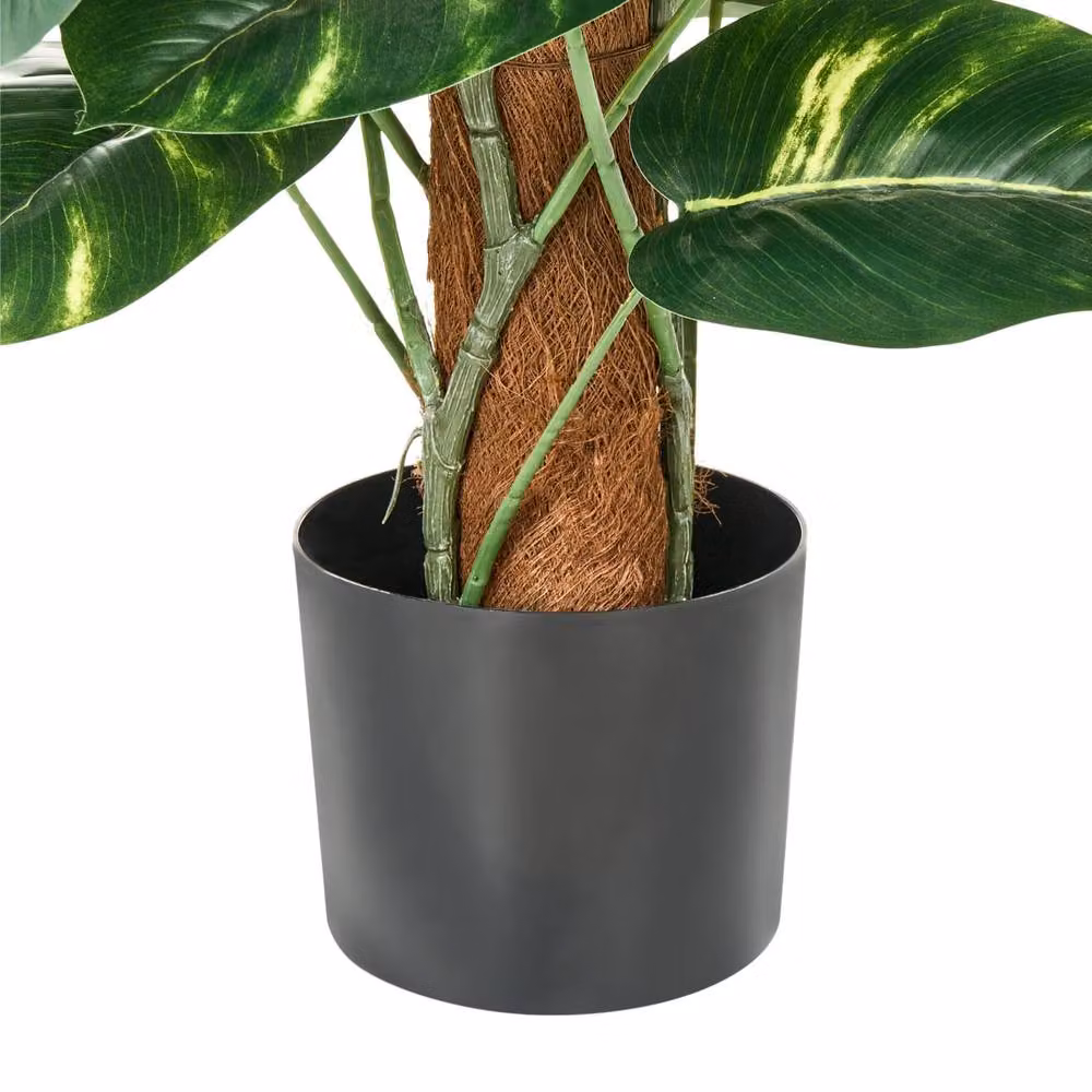 Wyld and Coco Green Dieffenbachia Artificial Potted Plant, Height: 152 cm – 5