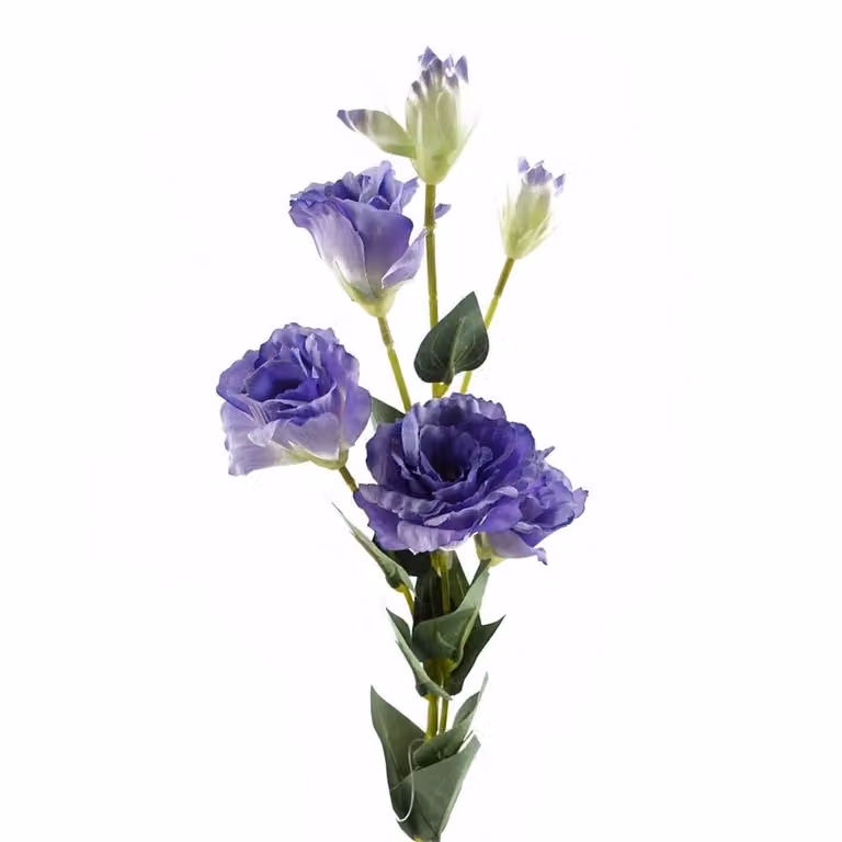 Leaf Pack of 6 Purple Artificial Wild Rose Stems with 36 Flowers, Height: 80 cm