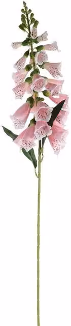 Kingsbury Gifts Pink Artificial Foxglove Stem, Height: 77 cm
