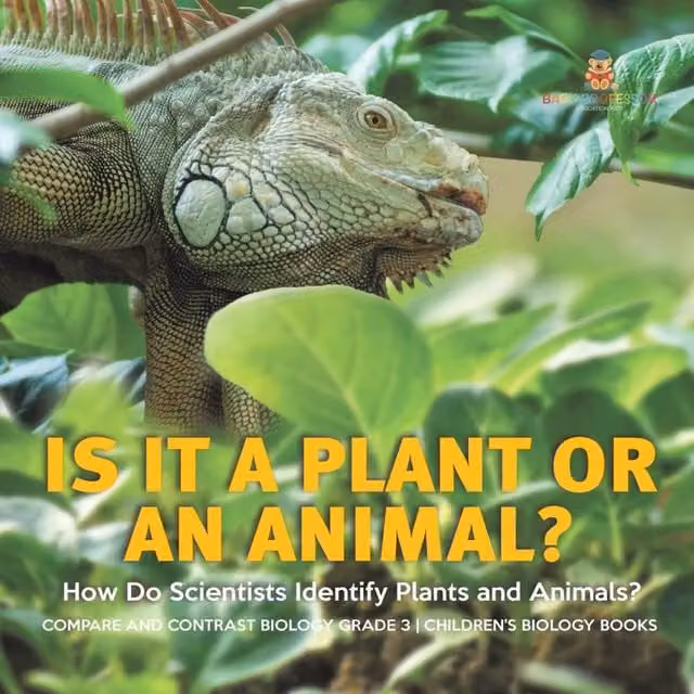 Baby Professor Is It a Plant or an Animal? How Do Scientists Identify Plants and in White and Multicolour