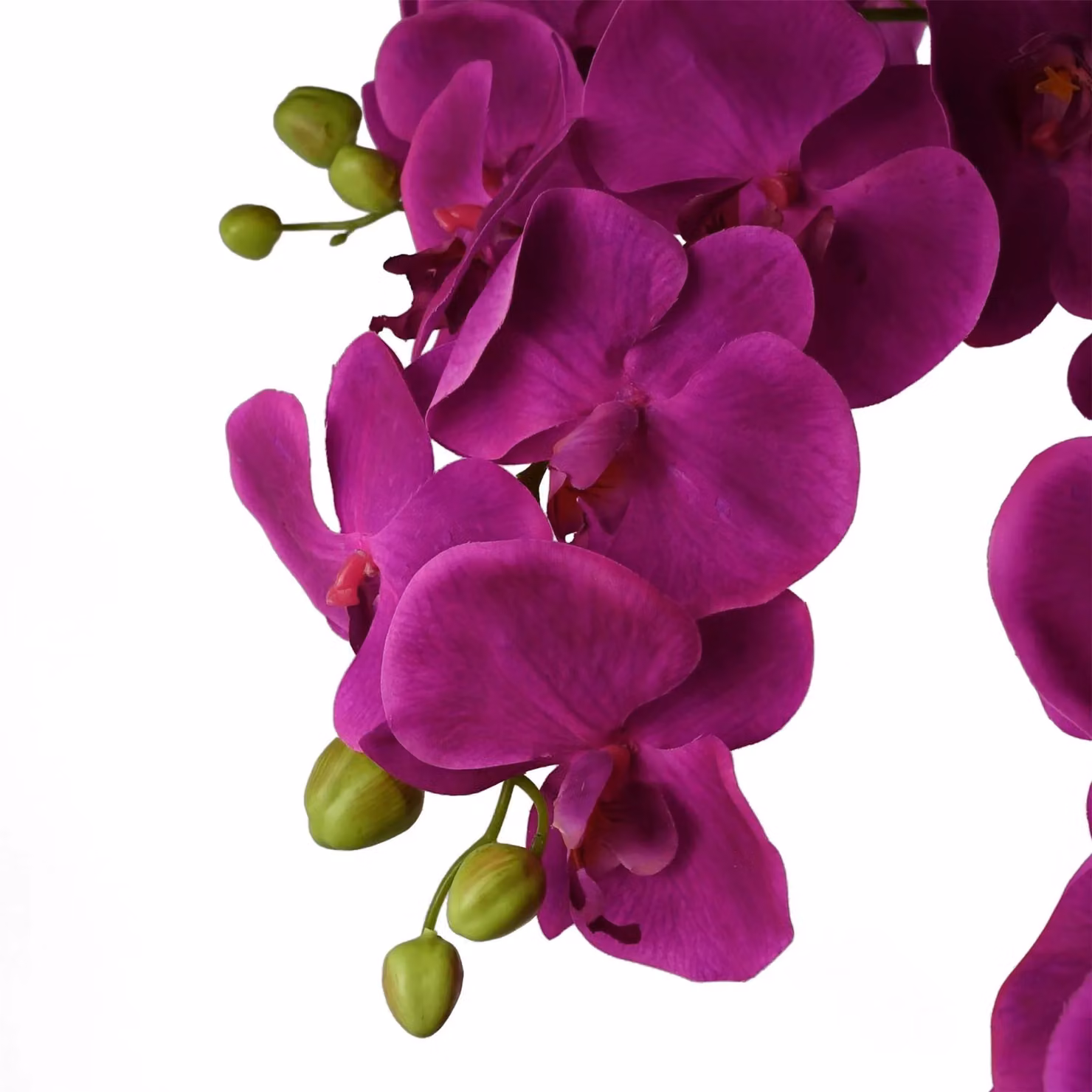 Leaf Botanik Realistic Artificial Purple Orchid Plant, Potted, Height: 150 cm – 4