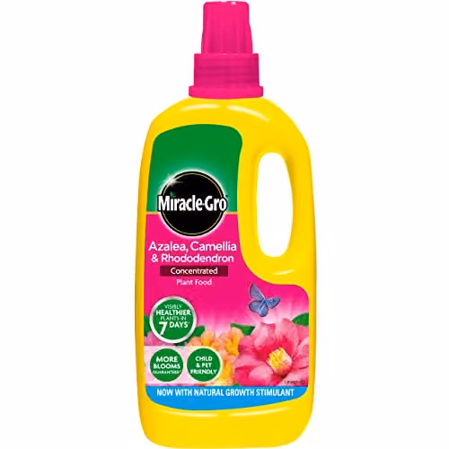 Miracle-Gro Concentrated Liquid Plant Food for Azalea, Camellia and Rhododendron, 1 l